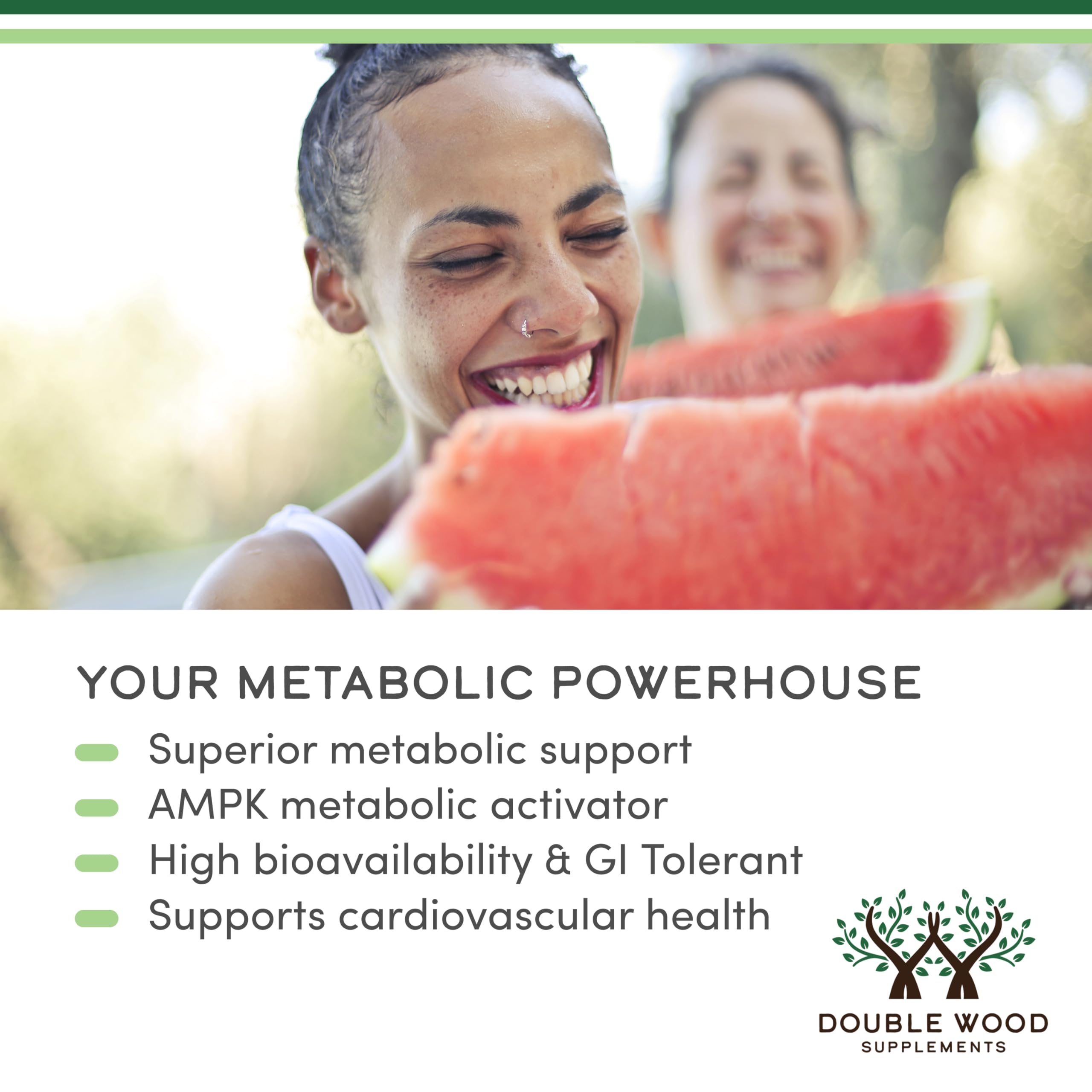 Berberine Supplement 500mg, 60 Capsules (Third Party Tested, Non-GMO, Gluten Free, Vegan Safe) AMPK Activator - Berberine HCL for Cardiovascular Health by Double Wood (Pack of 2) - Image 5