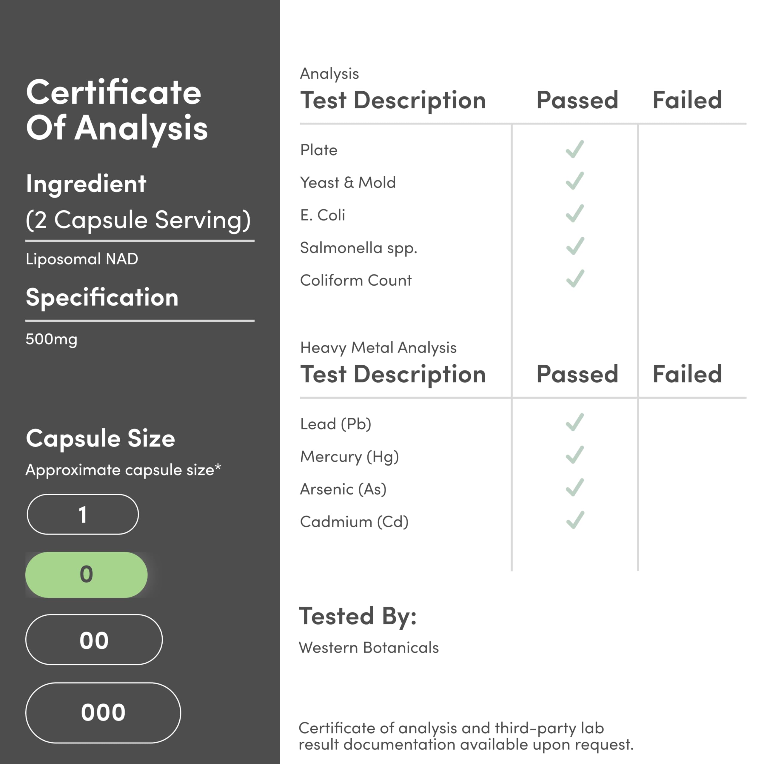 Liposomal NAD Supplement for Anti Aging and Cell Support (500mg of Liposomal NAD+ Per Serving, 30 Day Supply) - Third Party Tested, Vegan Safe, Non-GMO by Double Wood - Image 7